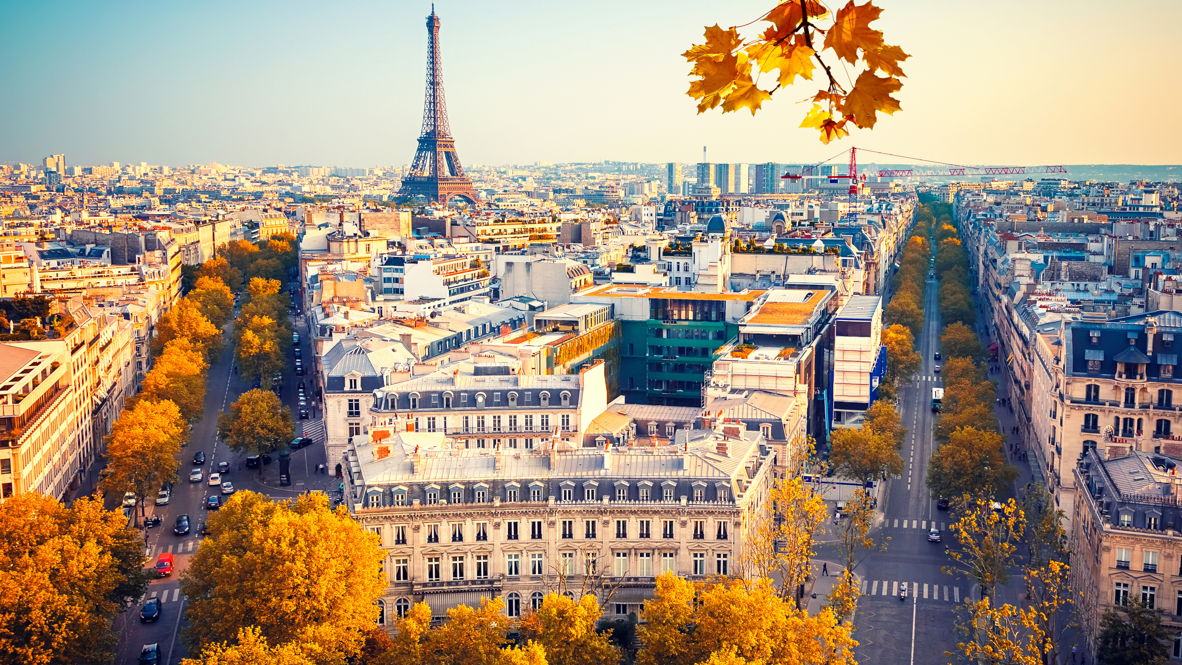 VEHÍCULO A DISPOSICIÓN POR HORAS EN PARÍS