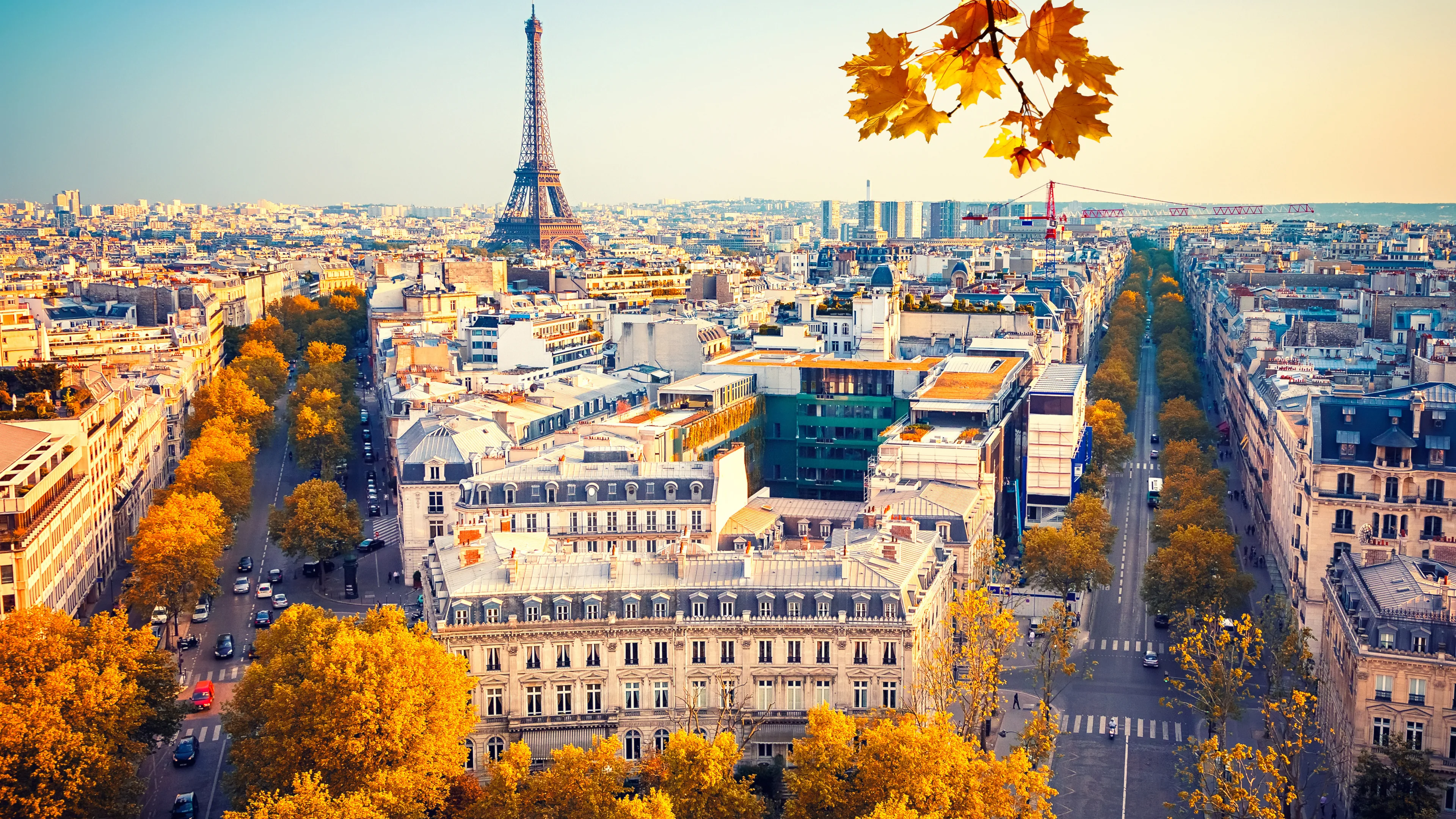 VEHÍCULO A DISPOSICIÓN POR HORAS EN PARÍS
